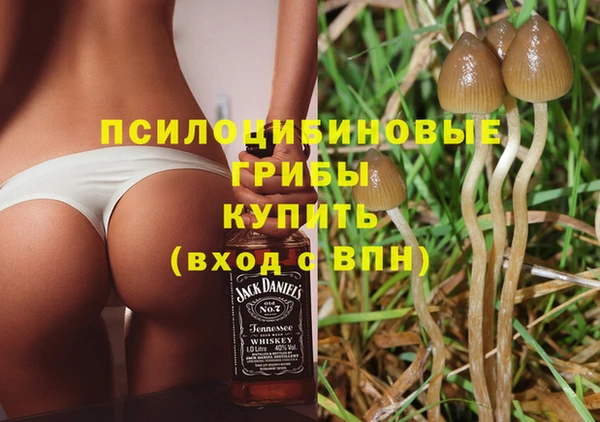 марки nbome Белокуриха