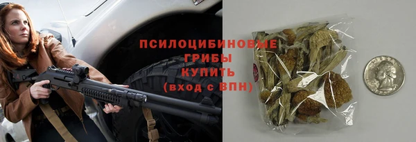 spice Беломорск