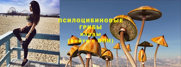 марки nbome Белокуриха