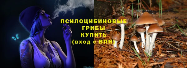 марки nbome Белокуриха